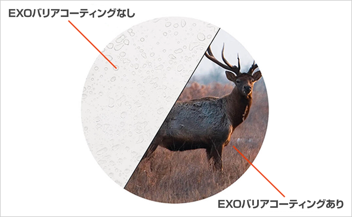 EXOバリアプロテクション