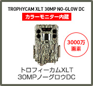TROPHYCAM XLT 30MP NO-GLOW DC/カラーモニター内蔵/3000万画素/トロフィーカムXLT30MP